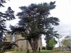 149 CHATEAU DE BRISSAC MAINE ET LOIRE 2016 N0_000008